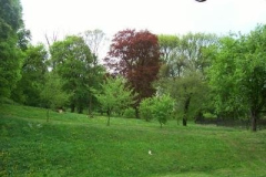 Kastelypark_11