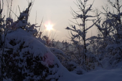 DSCF6485