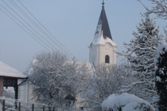 DSCF6498