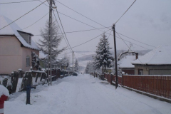 DSCF6508
