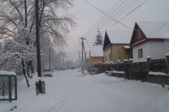 DSCF6524