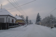 DSCF6526