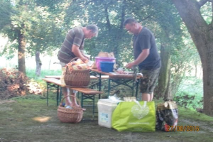 Falunap 2016