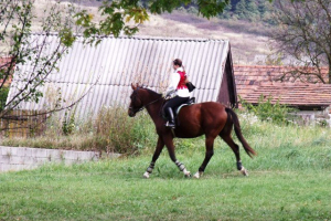 Szüreti felvonulás 2011.